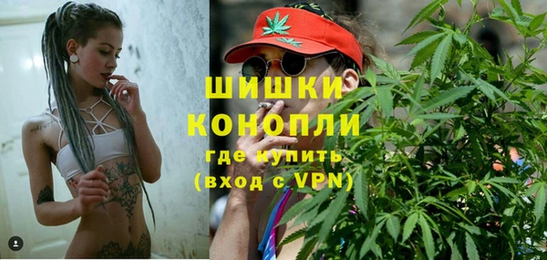 амф Козельск