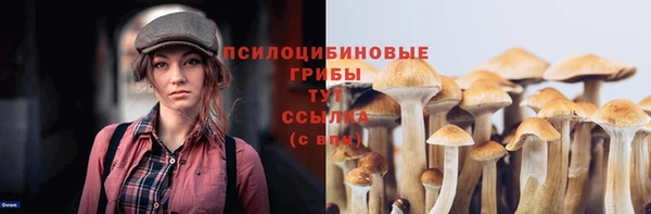 трава Кодинск