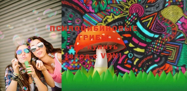 PSILOCYBIN Корсаков