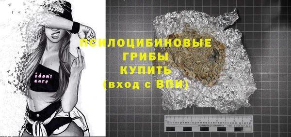 ECSTASY Козловка