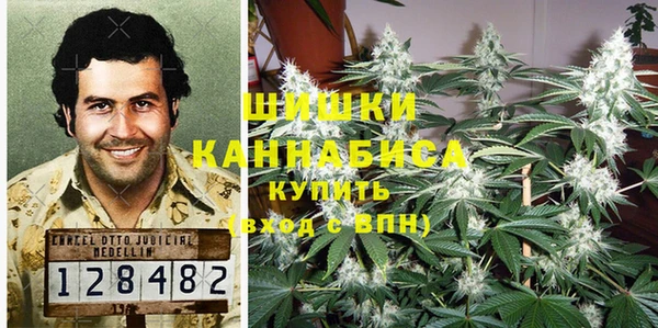гидра Коряжма