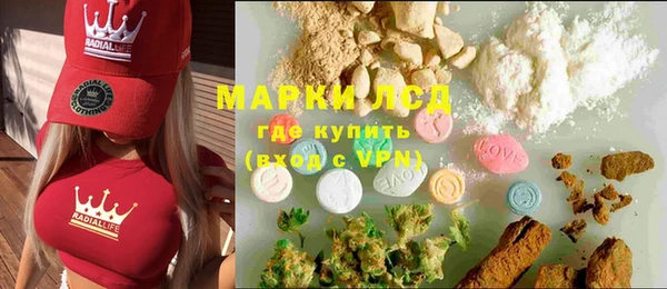 гидра Коряжма