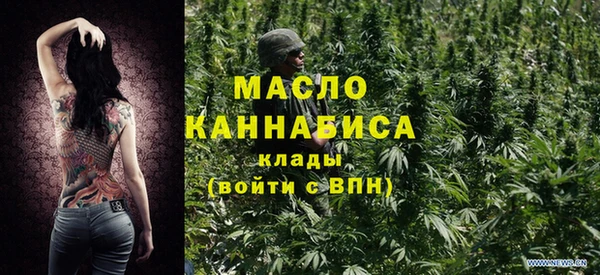 гидра Коряжма