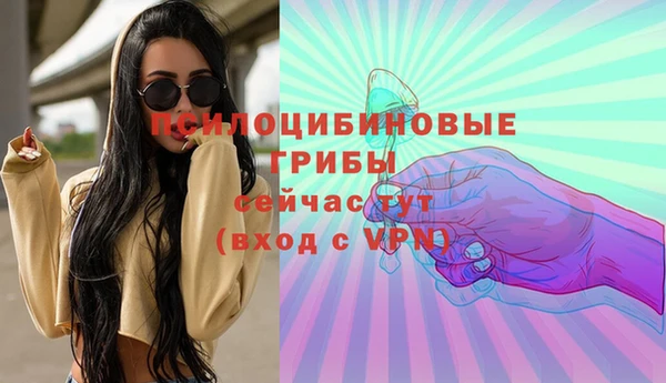 ECSTASY Козловка