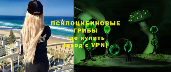 PSILOCYBIN Корсаков